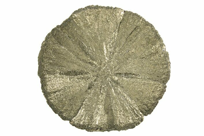 Radiant Pyrite Sun - Sparta, Illinois #342564